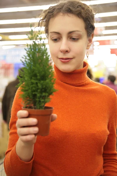 Молодая женщина с комнатным растением в магазине — стоковое фото