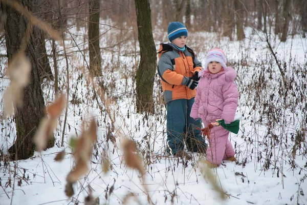 冬の森の妹と弟 — ストック写真