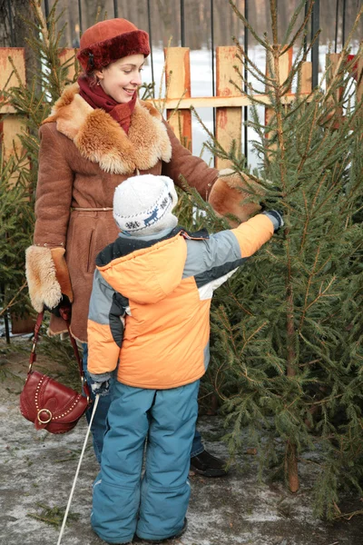 Matka i dziecko wybrać jodła na Boże Narodzenie — Zdjęcie stockowe