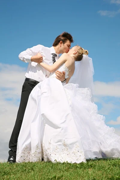 Verlobter küsst Braut auf die Wiese Stockfoto