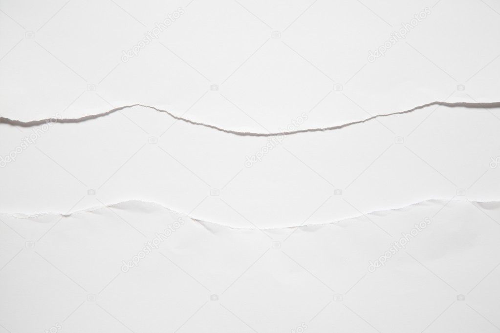 The torn sheet of paper against the white background