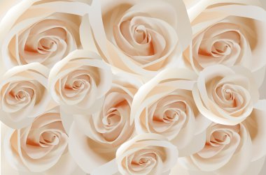 White roses clipart