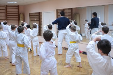 Karate boys training in sport hall