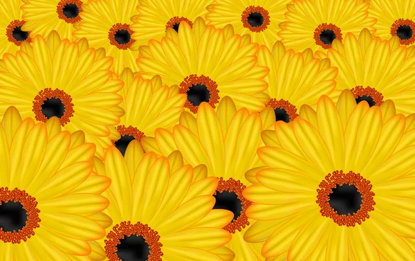 Muitas flores amarelas — Fotografia de Stock