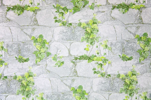 石壁紙の葉 — ストック写真
