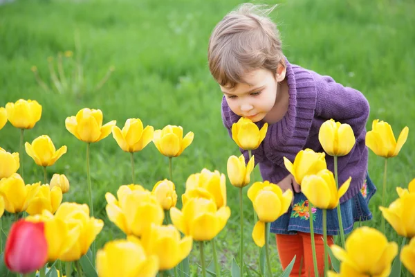 Девочка пахнет тюльпаном — стоковое фото