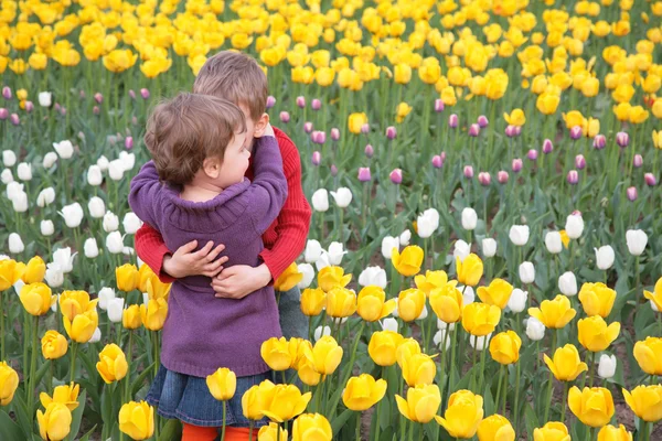 Children embrace each other on field of tulips — Stock Photo, Image
