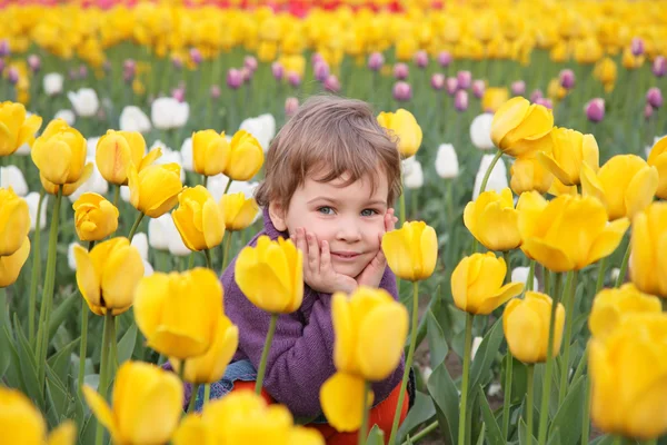 Little girl sit on field of tulips — Stock Photo, Image