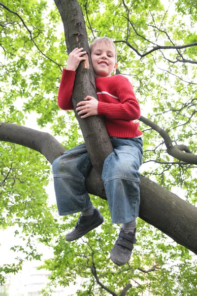 Chlapec sedí na větvi — Stock fotografie