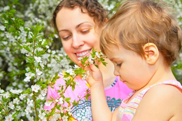 Madre e hija miran en flor cerezo —  Fotos de Stock