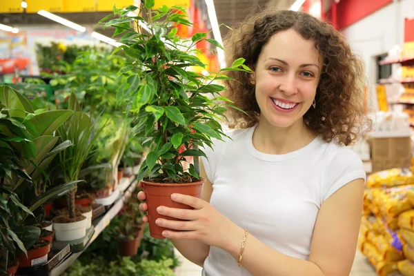 Fiatal nő tartja a pot a növény a bolt — Stock Fotó