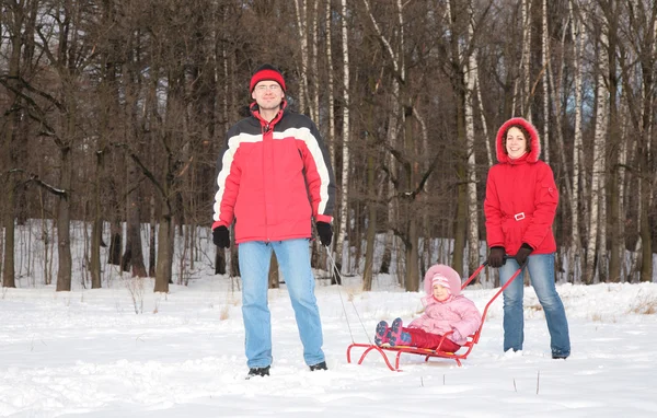 Parents and child on sled in forest — Stock Photo, Image