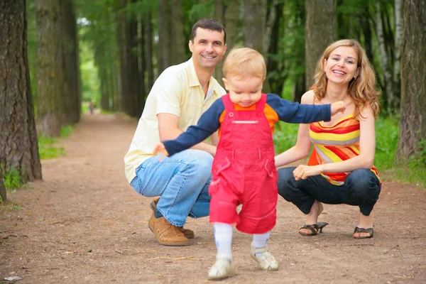 公園で両親と一緒に行く子の研究 — ストック写真