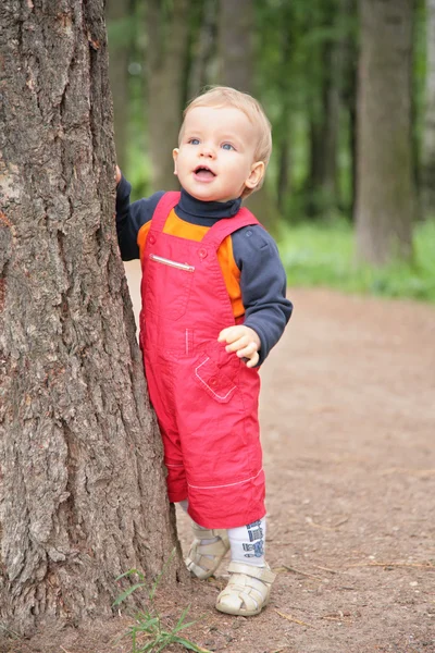 Child keeps for tree in park — Stock Photo, Image