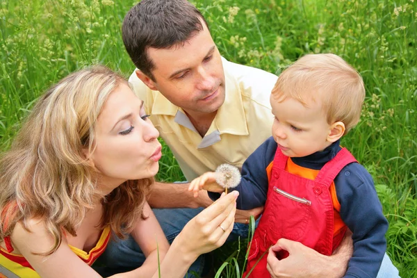 Родители с ребенком сидят в траве и дуют на одуванчик — стоковое фото