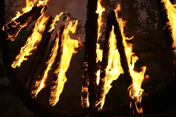 Brennende Wälder — Stockfoto