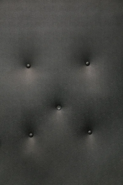 Dveře v černé umělé kůže — Stock fotografie