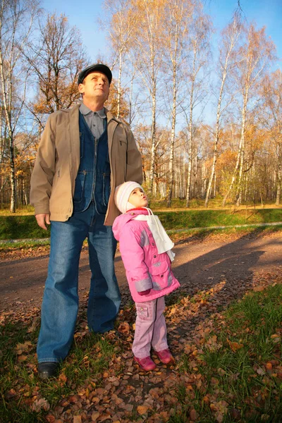 Farfar med barnbarn stativ i park i höst och titta uppåt — Stockfoto