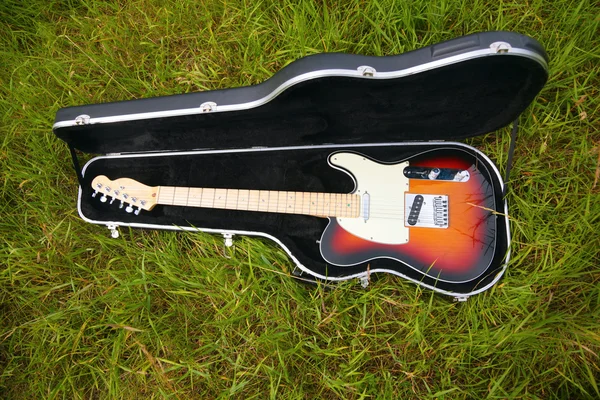 Guitarra em caso de grama — Fotografia de Stock