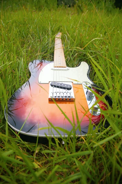 Guitar in grass — Stock Photo, Image