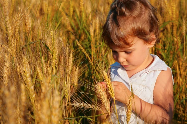 Klein meisje zit op wheaten veld — Stockfoto
