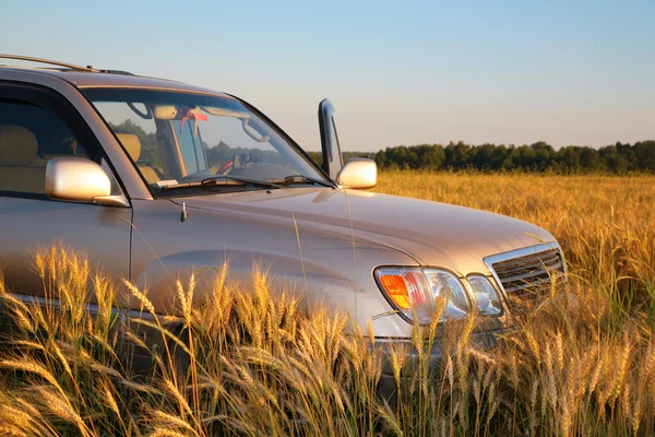 Offroad auto na poli pšenice — Stock fotografie