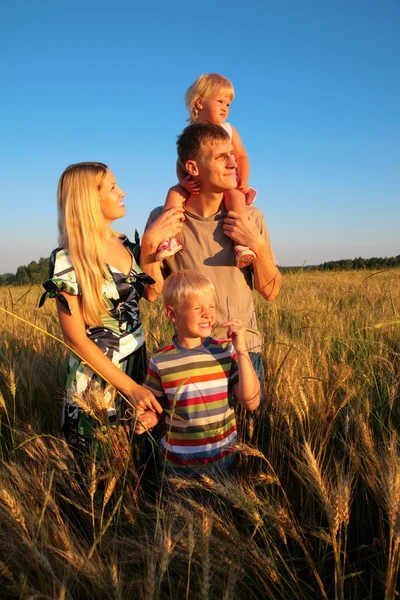 Familie auf Weizenfeld — Stockfoto