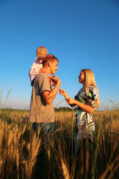 Mother and father with child on shoulders on wheaten field — Stock Photo, Image