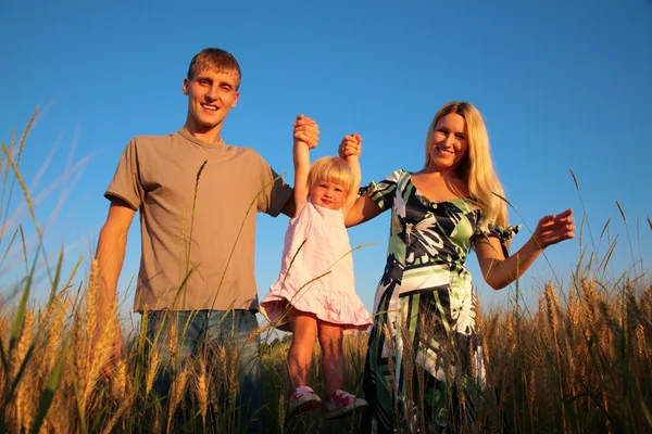 Paretns hold daughter from hands on wheaten field — Stock Photo, Image