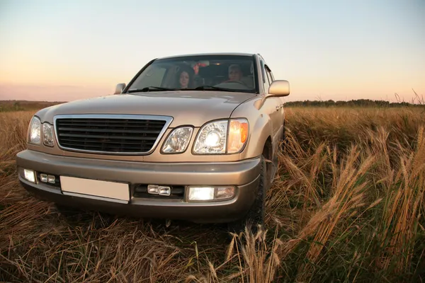 Araba buğday alanı — Stok fotoğraf