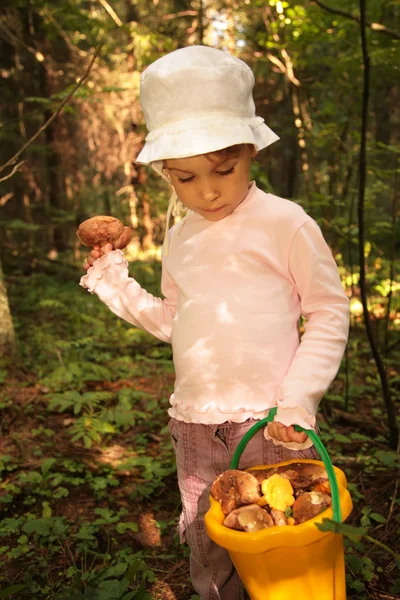 Liten flicka med hink med svamp i trä — Stockfoto