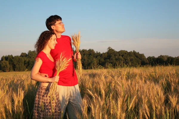 Пара в поле с пшеницей в руках — стоковое фото