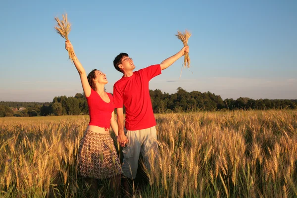 Dvojice v tield s pšenicí v rukou — Stock fotografie