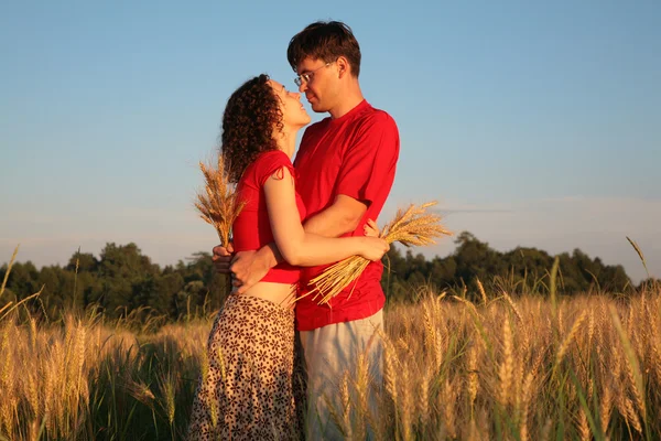 Pair embraces on wheaten field — Stock Photo, Image