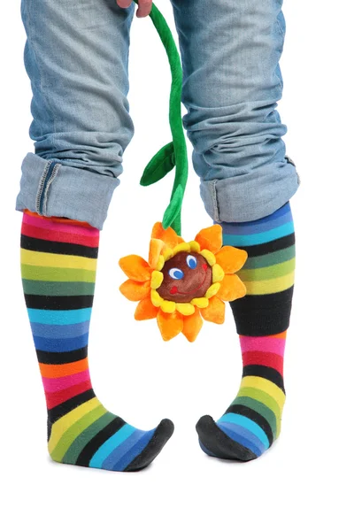 Two feet in multi-coloured socks and sunflower — Stock Photo, Image