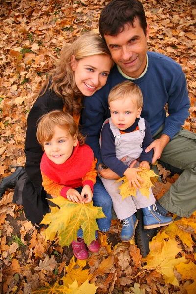 黄色枫叶的家庭在木叶子在秋天 — 图库照片
