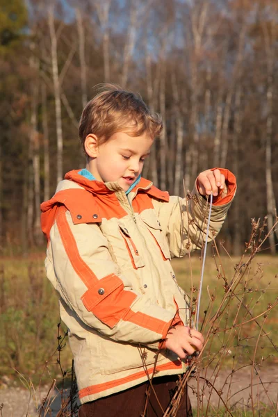 Menino em madeira de outono com corda nas mãos — Fotografia de Stock