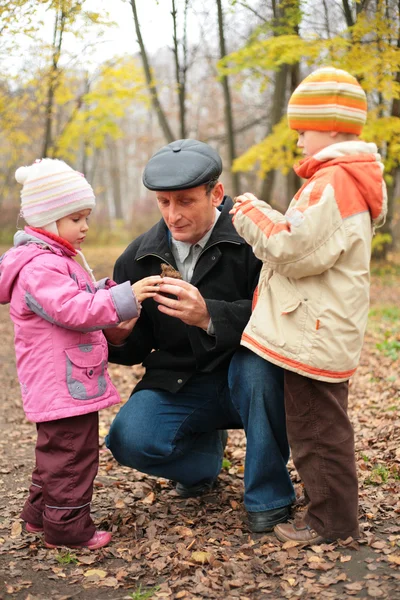 Grandfather with grandsons in forest in autumn — Stock Photo, Image