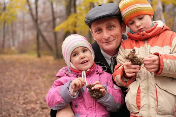 Дедушка с внуками в лесу осенью с колючкой в руке — стоковое фото