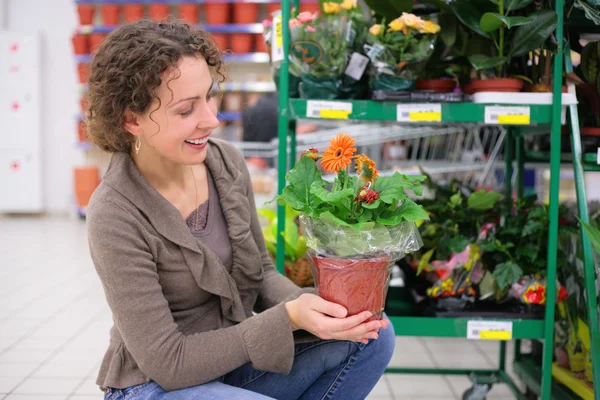 Jeune femme tient pot avec des fleurs dans la boutique — Photo