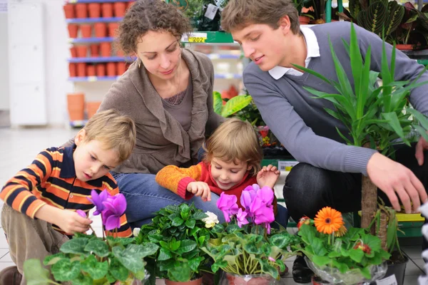 Familj i blomsteraffär — Stockfoto