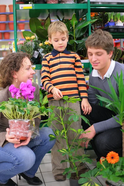 Parents with child in flower shop — Stock Photo, Image