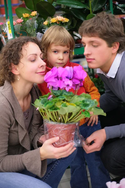 Parents and child with pot in flower shop — Stock Photo, Image