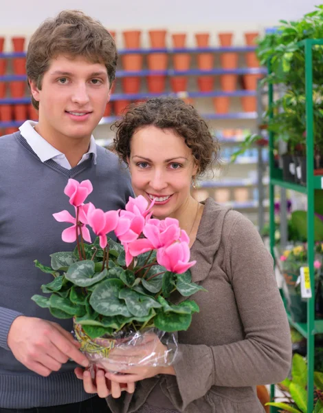 Para i garnek z kwiatem w sklepie — Zdjęcie stockowe