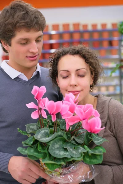Dvojice a hrnec s květinou v obchodě — Stock fotografie