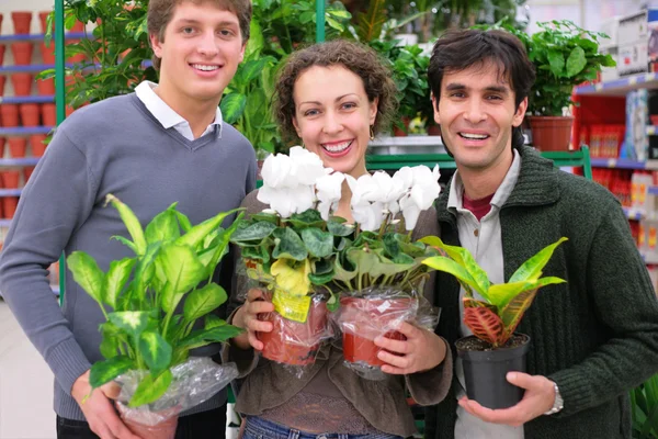 Three friends in shop holds pots with plants in shop — Stock Photo, Image