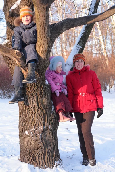 Mother with children on tree in wood in winter — Stock Photo, Image