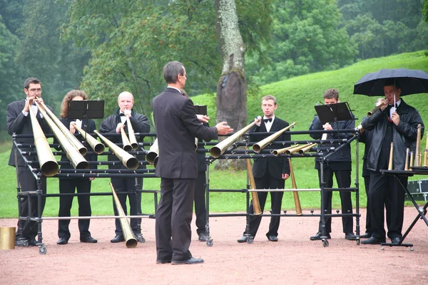 Brass band in park — Stockfoto