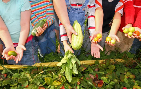 Les enfants tiennent des légumes — Photo