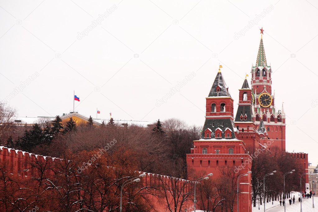 At Kremlin wall in Moscow in winter